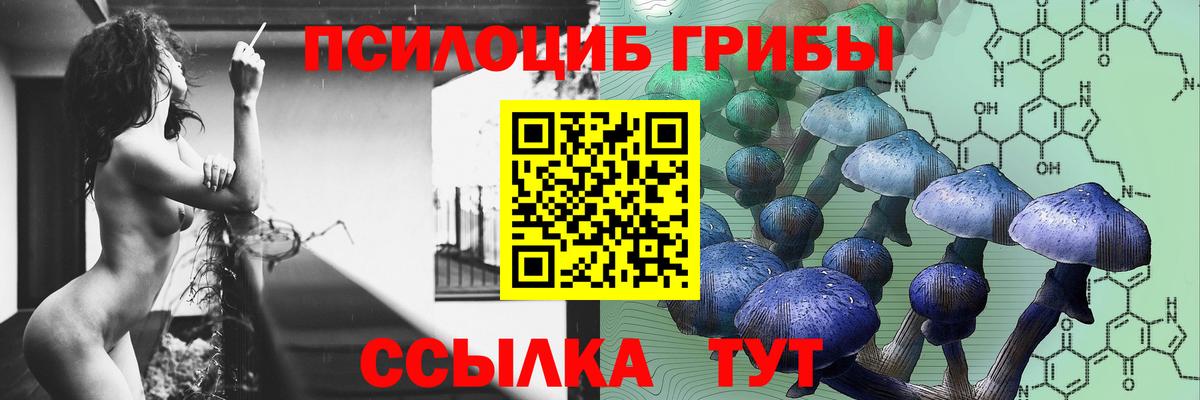 Кисловодск  Галлюциногенные грибы ЛСД  Вход с VPN  Псилоцибиновые грибы ЛСД 